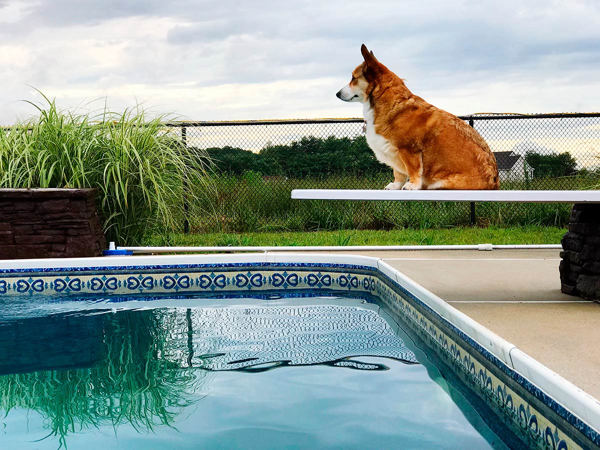 Cerca discreta para área de piscina em Canas