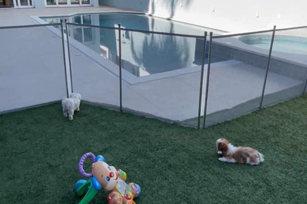 Cerca de Piscina para Pets