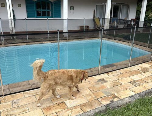 Cerca de Piscina para Casas com Pets: O Que Considerar