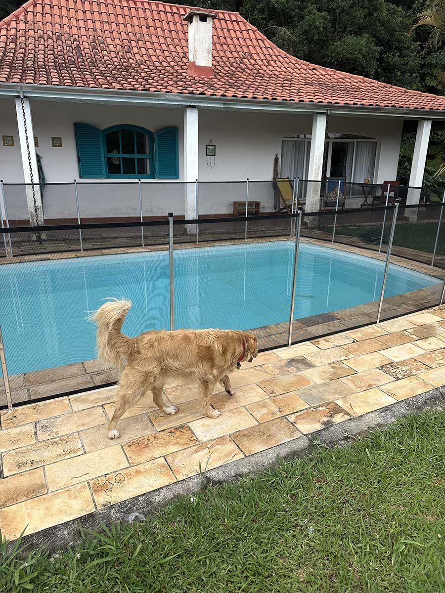 Cerca de Piscina para Casas com Pets: Guia Completo 2026
