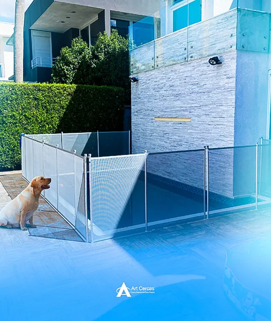 Cachorro protegido por cerca removível ao lado da piscina