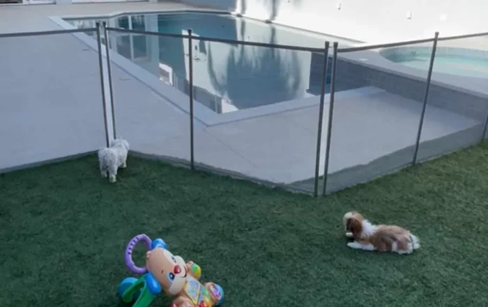 Cerca de piscina para gatos: guia prático para casas com felinos